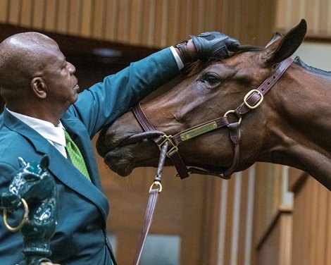 Ring handler Cordell Anderson with hip 568 a filly by Bernardini out of Indian Safari at Greenfield Farms. Keeneland sales scenes on Sept. 13, 2023.