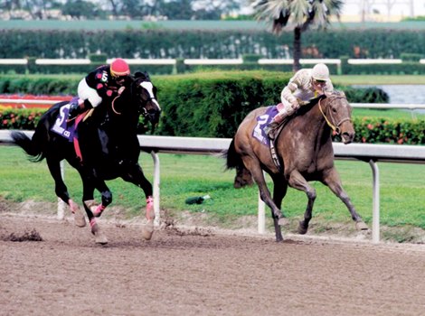 Artax (left) catches Kona Gold in the 1999 Breeders' Cup Sprint at Gulfstream Park