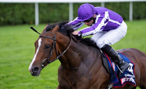 Continuous (Ryan Moore) wins the St Leger<br>
Doncaster 16.9.23 Pic: Edward Whitaker