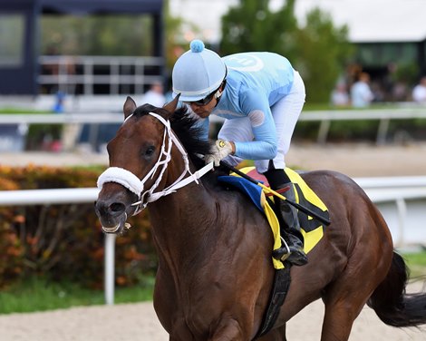 Mattingly wins the Hollywood Beach Stakes on Saturday, September 30, 2023 at Gulfstream Park