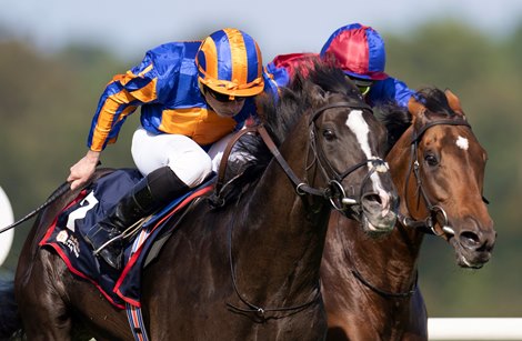 Auguste Rodin and Ryan Moore winning the Gr.1 Irish Champion Stakes. Leopardstown.<br>
Photo: Patrick McCann/Racing Post<br>
09.09.2023