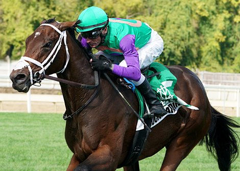 Brocknardini wins the Selima Stakes on Saturday, September 30, 2023 at Laurel Park