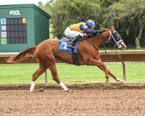 Soloshot wins the Lady Finger Stakes on Monday, September 25, 2023 at Finger Lakes