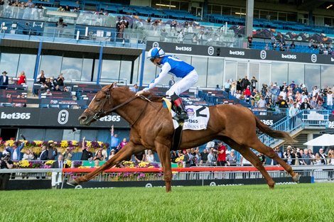 Jockey Dylan Davis guides Carson&#39;s Run to victory in the $500,000 bet365 Summer Stakes. Carson&#39;s Run is owned by West Point Thoroughbreds and Steven Bouchey and trained by Christophe Clement.