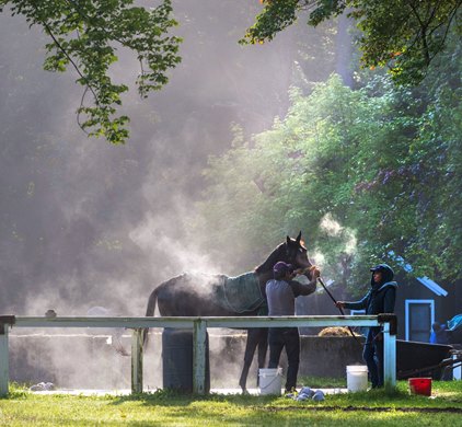 A horse is given a sponge bath in the cool morning air sending plumes of steam in to the sky in the barn area at the Saratoga Race Course Friday Sept.  1, 2023 in Saratoga Springs, N.Y. Photo  by Skip Dickstein