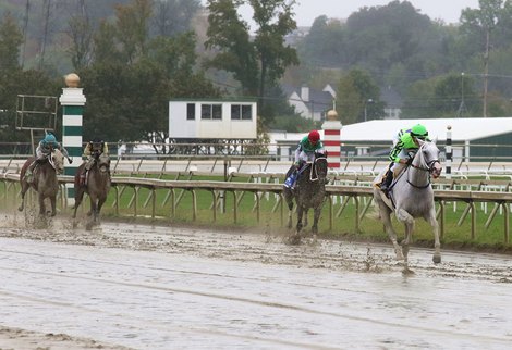 Next #6 with Luan Machado riding won the $200,000 Grade III Greenwood Cup at Parx Racing in Bensalem, Pennsylvania on September 23, 2023. Photo By Bill Denver /EQUI-PHOTO