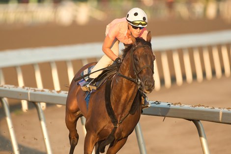 Shirl's Speight breezes under jockey Emma Jayne Wilson at Woodbine Racetrack on September 14, 2023. Woodbine/ Michael Burns Photo