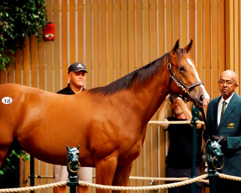 Hip 18, 2023 Keeneland September Yearling Sale