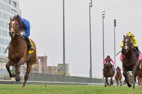 William Buick guides Nations Pride (IRE) to victory in the $750,000 Canadian International at Woodbine. Nations Pride is owned by Godolphin and trained by Charles Appelby.