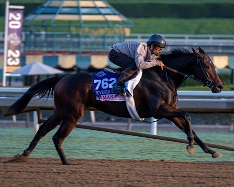 Tamara with Mike Smith<br>
Training at Santa Anita Park as horses prepare for the Breeders’ Cup on Oct. 28, 2023.