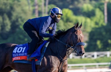 Didia on the track as preparations continue for the 40th Breeders’ Cup to be held  at Santa Anita Race Track Sunday Oct. 29, 2023 in Arcadia, California.  Photo by Skip Dickstein