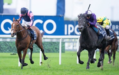 King of Steel (Frankie Dettori) wins the Champion Stakes<br>
Ascot 21.10.23 Pic: Edward Whitaker