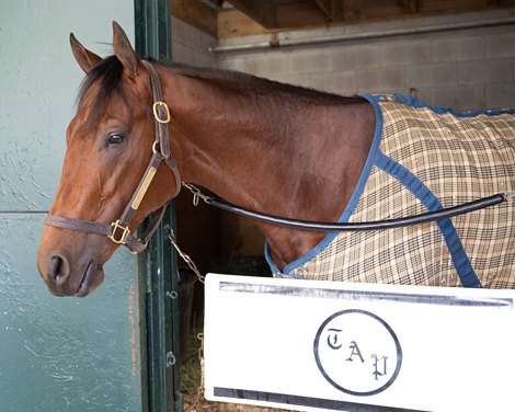 Agate Road<br>
Pletcher trainees at Keeneland on Oct. 17, 2023.