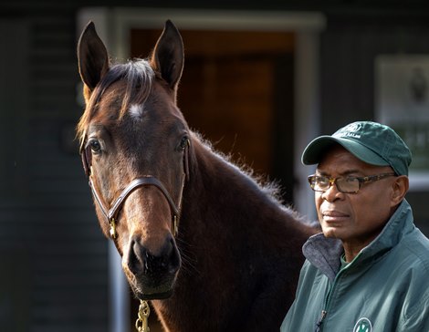 Scenics - 2023 Fasig-Tipton Saratoga Fall Sale