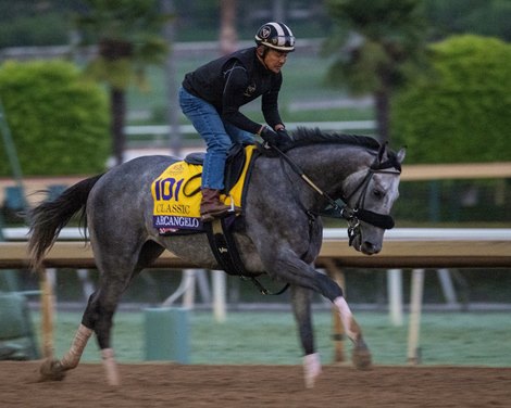 Arcangelo<br><br />
Training at Santa Anita Park as horses prepare for the Breeders’ Cup on Oct. 28, 2023.