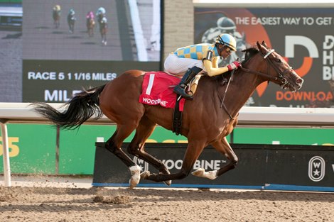  Forever Dixie wins the $125,000 Guaranteed Ontario Damsel Stakes Woodbine/Michael Burns Photo