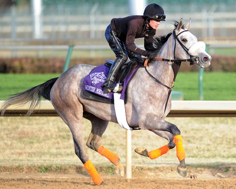 Winter Memories, Churchill Downs, Louisville, KY, 11.2.10, Mathea Kelley;