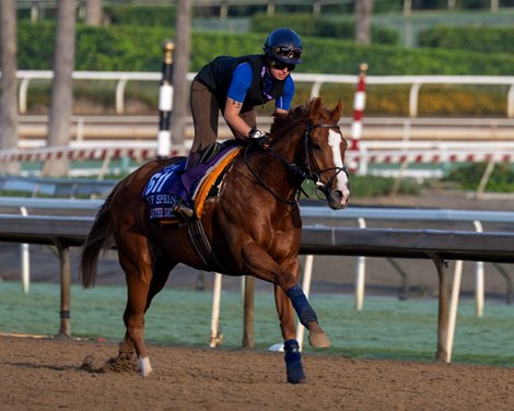 Live In The Dream<br>
Training at Santa Anita Park as horses prepare for the Breeders’ Cup on Oct. 28, 2023.