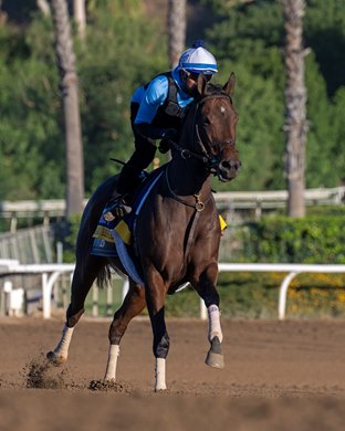 Search Results Training at Santa Anita Park as horses prepare for the Breeders’ Cup on Oct. 31, 2023.