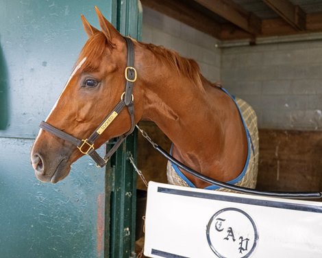 Locked<br>
Pletcher trainees at Keeneland on Oct. 17, 2023.