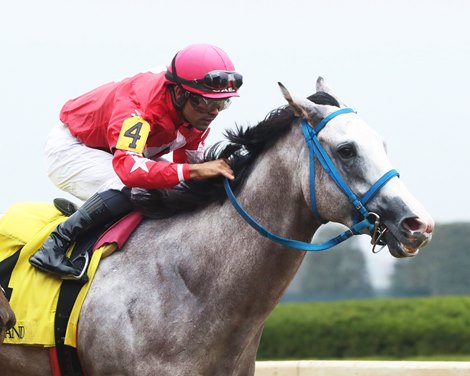 Glengarry wins the 2023 Bowman Mill Stakes at Keeneland