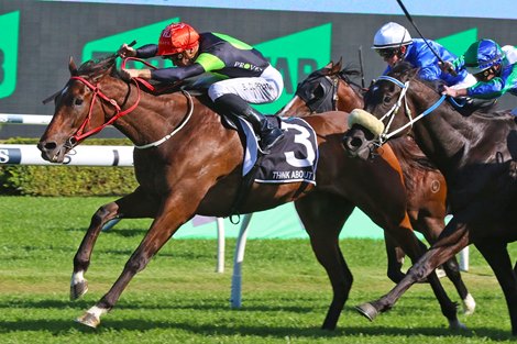 Think About It wins the 2023 Everest Stakes at Randwick Racecourse<br>
ridden by Sam Clipperton and Trained by Joe Pride