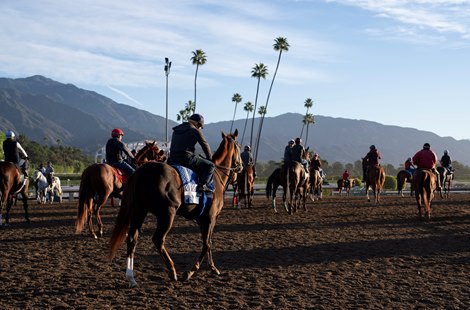 Horses head out to exercise after the main track is harrowed<br>
Santa Anita 30.10.23 Pic: Edward Whitaker