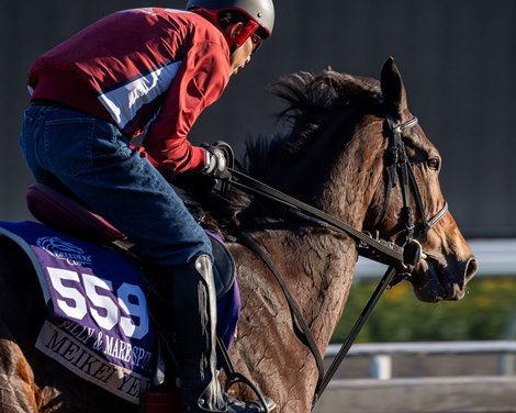 Meikei Yell<br>
Training at Santa Anita Park as horses prepare for the Breeders’ Cup on Oct. 29, 2023.