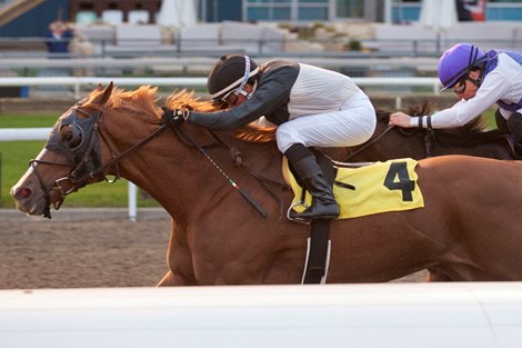 Jockey Luis Contreras guides Spun Glass to victory in the $150,000 Ontario Fashion Stakes