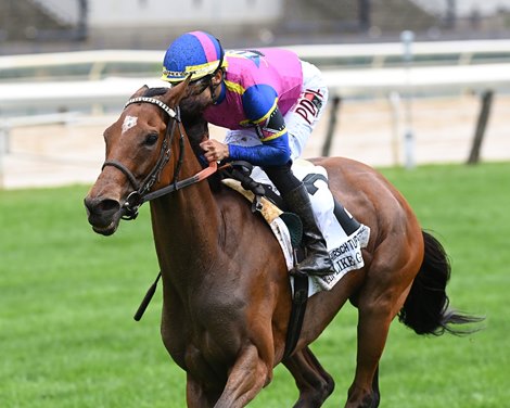 War Like Goddess wins the 2023 Joe Hirsch Turf Classic Stakes at Aqueduct