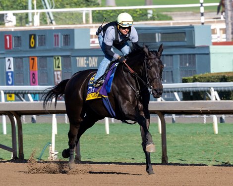 Adare Manor<br>
Training at Santa Anita Park as horses prepare for the Breeders’ Cup on Oct. 29, 2023.