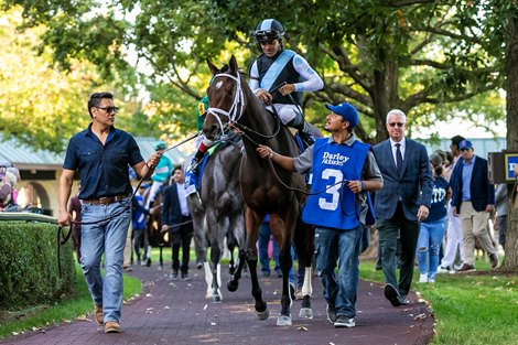 October 6, 2023: Candied (Candy Ride) and jockey Luis Saez win the Grade 1 Alcibiades Stakes at Keeneland Race Course for trainer Todd Pletcher. The race was a "Win and You're In" for the Breeders Cup Juvenile Fillies.