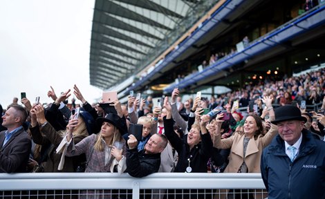 Racegoers welcome back King of Steel (Frankie Dettori) after the Champion Stakes<br>
Ascot 21.10.23 Pic: Edward Whitaker