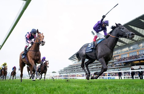 King of Steel (Frankie Dettori) wins the Champion Stakes<br>
Ascot 21.10.23 Pic: Edward Whitaker