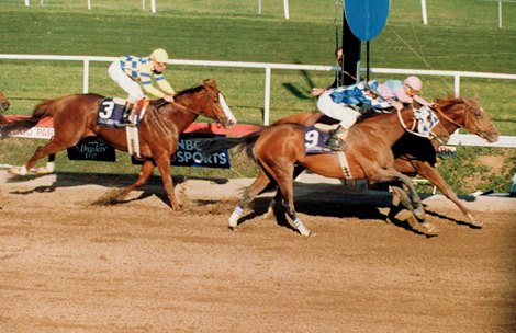 Ferdinand wins the 1987 Breeders&#39; Cup Classic