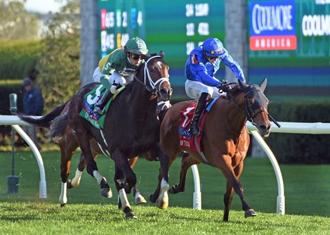 October 7, 2023: Up To The Mark (5) Jose Ortiz up, holds off Master Of The Seas and James Doyle, to win the Gr.1T Turf Mile...