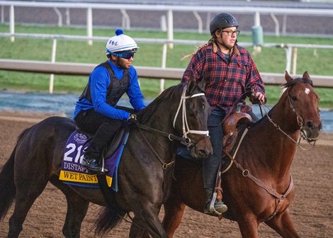 Wet Paint is on track whilepreparations continue Tuesday Oct. 31, 2023 for the 40th running of the Breeders’ Cup Championships which will occur Friday and Saturday at Santa Anita Race Track Sunday  in Arcadia, California.  Photo by Skip Dickstein