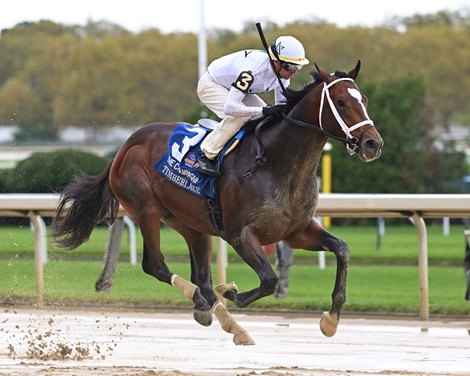 Timberlake wins the 2023 Champagne Stakes at Aqueduct