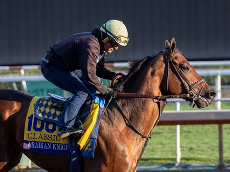 Arabian Knight on track as preparations continue for the 40th running of the Breeders’ Cup Championships which will occur Friday and Saturday at Santa Anita Race Track Sunday Oct. 30, 2023 in Arcadia, California.  Photo by Skip Dickstein