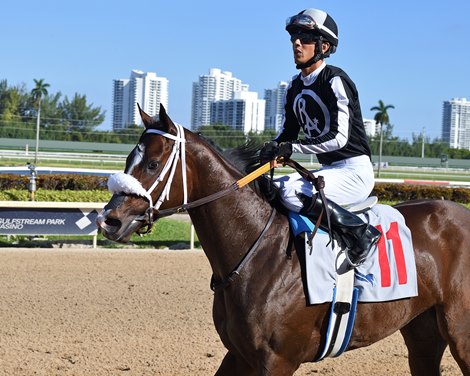 R Harper Rose wins the 2023 FTBOA Florida Sire Susan&#39;s Girl Stakes at Gulfstream Park