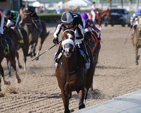 R Harper Rose wins the 2023 FTBOA Florida Sire Susan&#39;s Girl Stakes at Gulfstream Park
