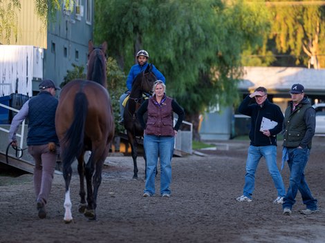 Dr. Dionne Benson doing a vet exam. <br>
Training at Santa Anita Park as horses prepare for the Breeders’ Cup on Oct. 30, 2023.