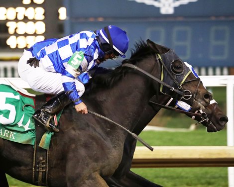 Trademark wins the Clark Stakes at Churchill Downs on November 24, 2023