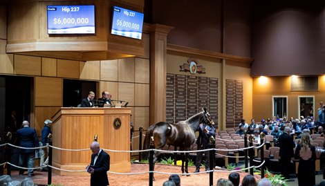 Hip 237 Goodnight Olive consigned by Elite Agent to The November Sale at Fasig-Tipton in Lexington, Ky. on Nov. 7, 2023.
