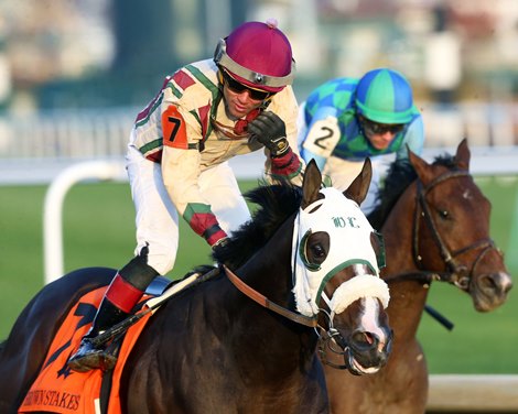 Just Steel wins the Ed Brown Stakes on Saturday, November 25, 2023 at Churchill Downs