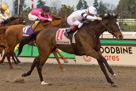 Jockey Rafael Hernandez guides Millie Girl to victory in the $150.000 (Grade 3) Maple Leaf Stakes. Millie Girl is trained by Catherine Day Phillips.