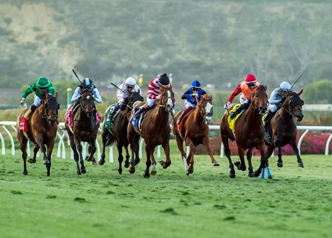 Planetario and Hector I. Berrios, second from right, battle the  field in mid-stretch and go on to win the Grade II $200,000 Hollywood Turf Cup Friday, November 24, 2024 at Del Mar Thoroughbred Club, Del Mar, CA.<br>
Benoit Photo