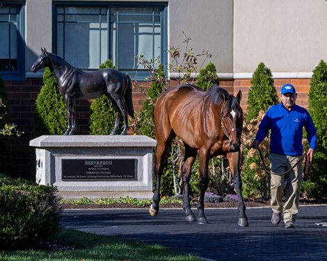 Cody’s Wish walks away from the Bernardini statue at Godolphin/Darley Jonabell in Lexington, Ky., on Nov. 16, 2023