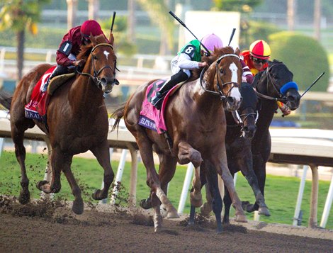 Elite Power with Irad Ortiz, Jr. wins the Sprint (G1) at Santa Anita in Arcadia, CA on November 4, 2023.