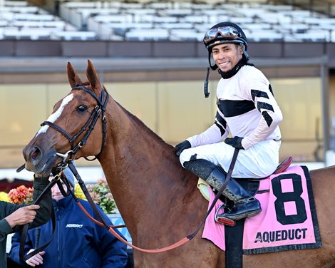 Raging Sea wins the 2023 Comely Stakes at Aqueduct